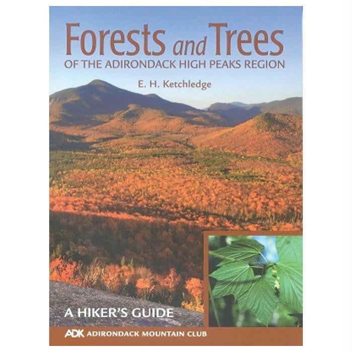 Forest & Trees Adk High Peaks