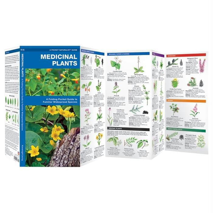 Medicinal Plants