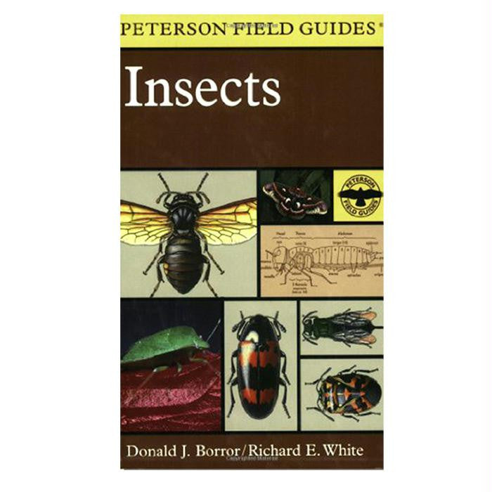 Field Guide To Insects