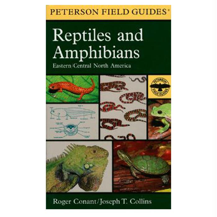 Reptiles & Amphibians: East