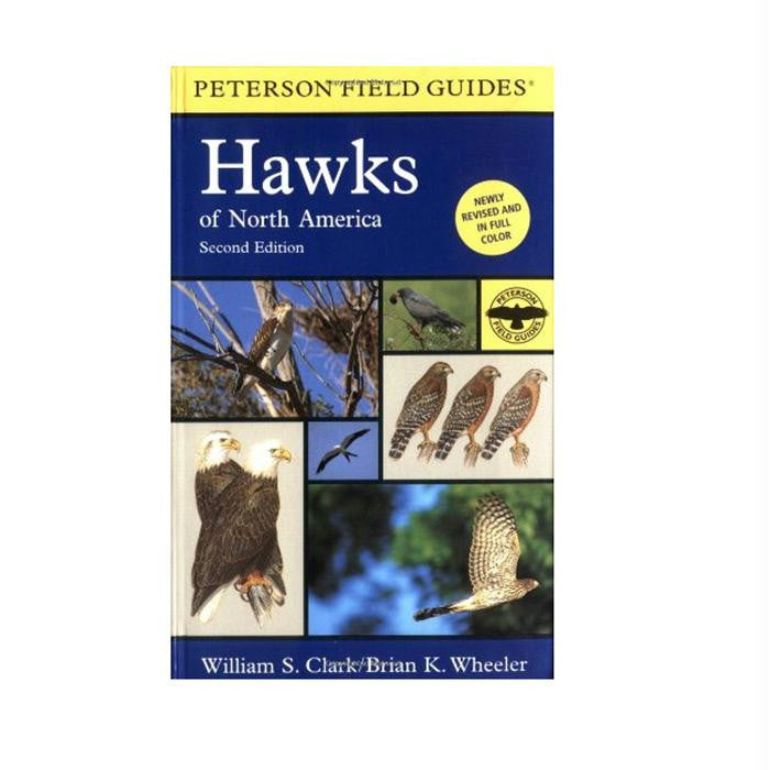 Hawks Of North America