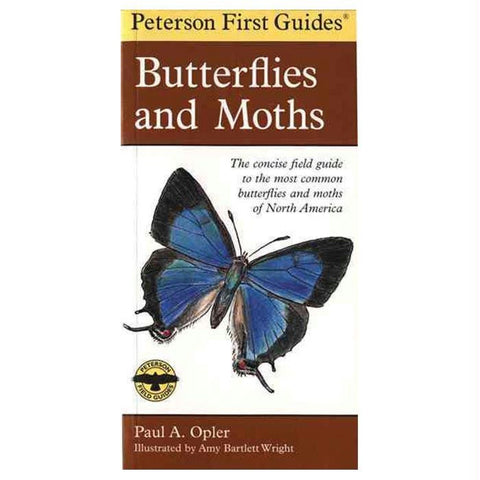 First Guide To Butterflies