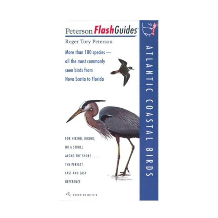 Flash. Atlantic Coastal Birds