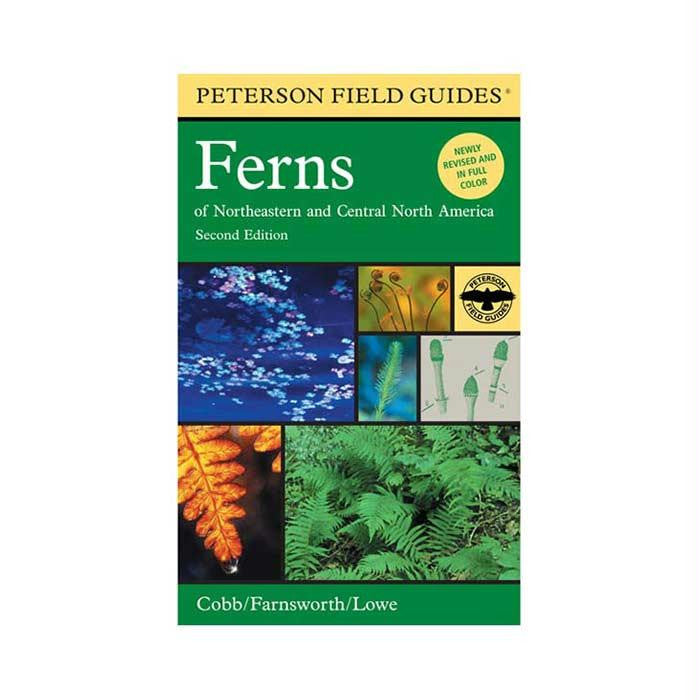 Peterson Ferns Revised 2005