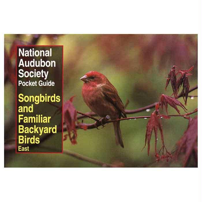 Audbn Pg: Song & Bckyard Birds