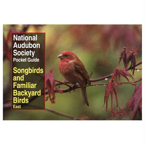 Audbn Pg: Song & Bckyard Birds