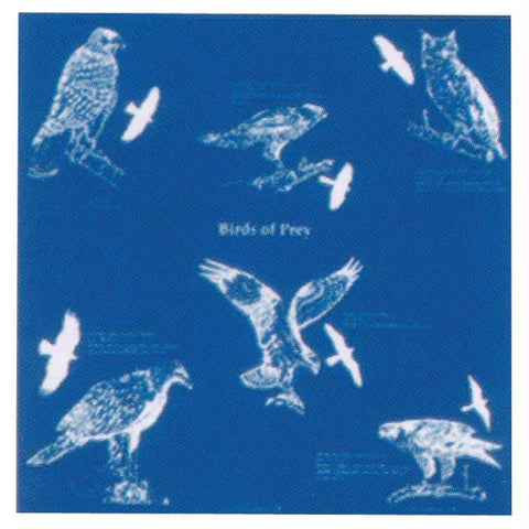 Birds Of Prey Bandana