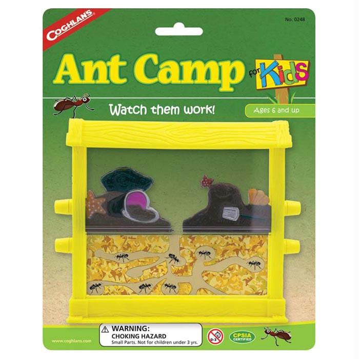 Ant Camp For Kids