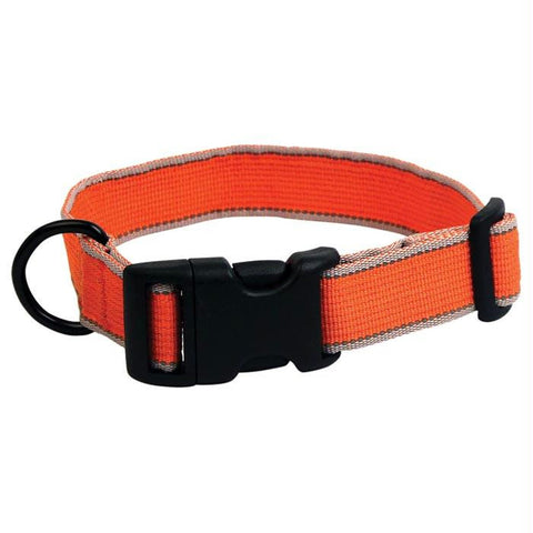Secret Agent Collar Md Orange