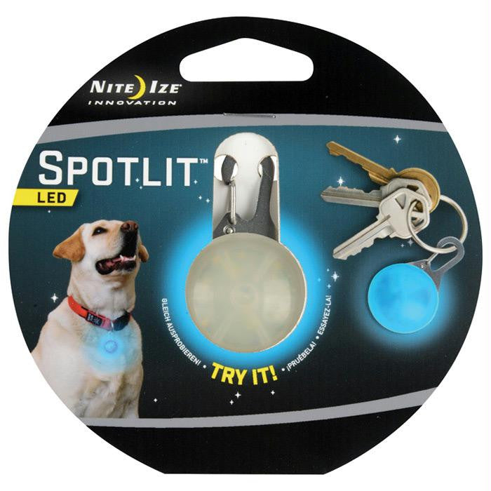 Spotlit Dog Blue