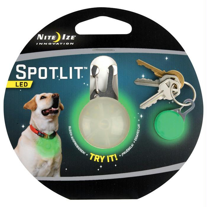 Spotlit Dog Green