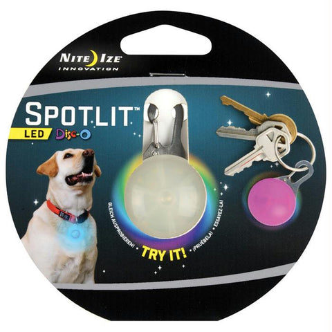 Spotlit Dog Disco