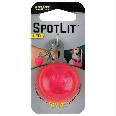 Spotlit Pink-white Led