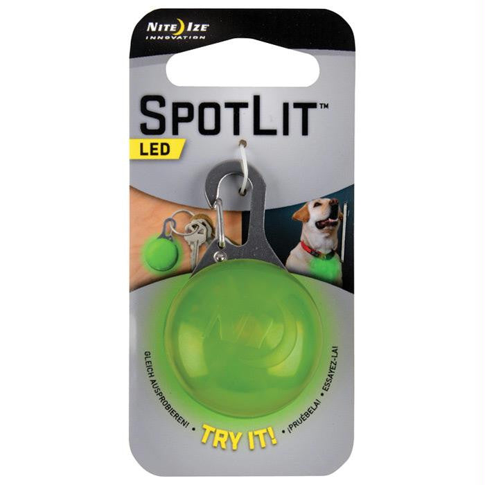 Spotlit Lime-white Led