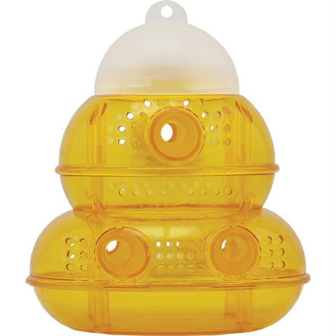 Pic Baited Wasp Trap