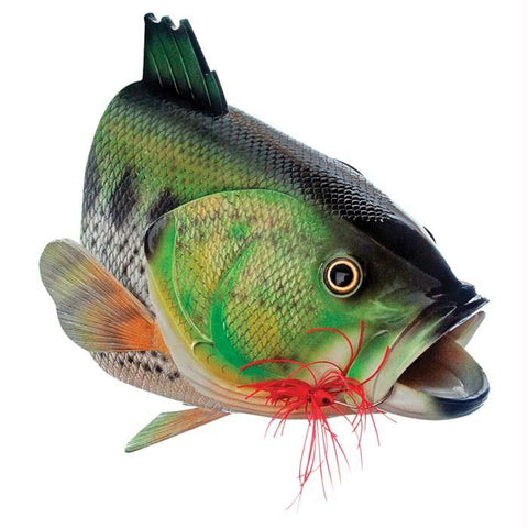 Large Mouth Bass Birdhouse