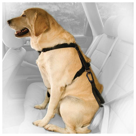 Kurgo Direct Seat Belt Tether