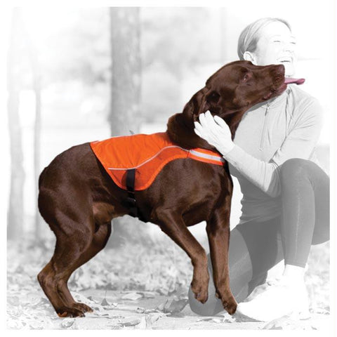 Reflect & Protect Dog Vest Md