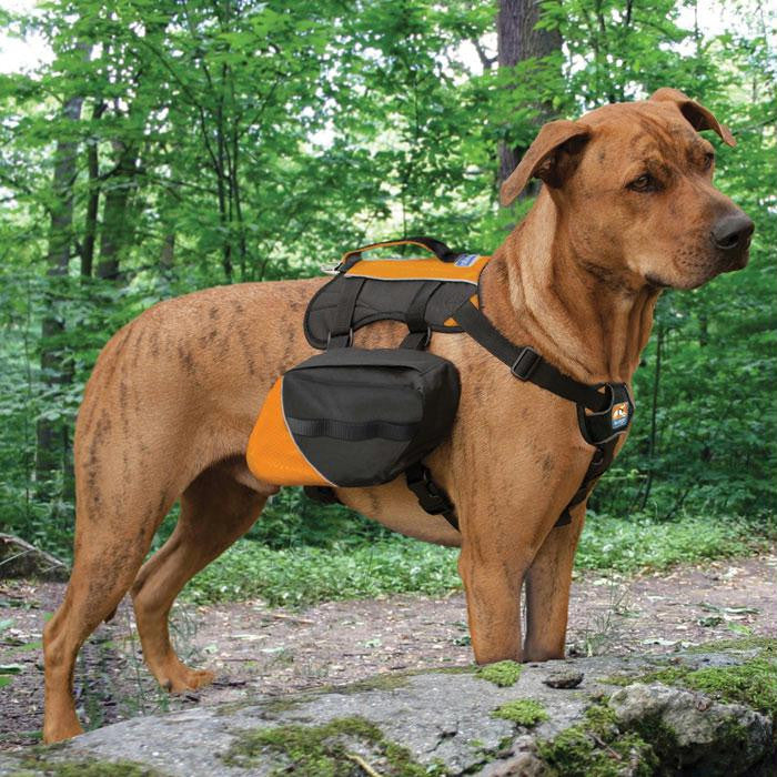 Kurgo Baxter Pack Blk-orng
