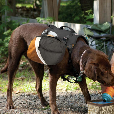 Kurgo Big Baxter Pack Blk-orng