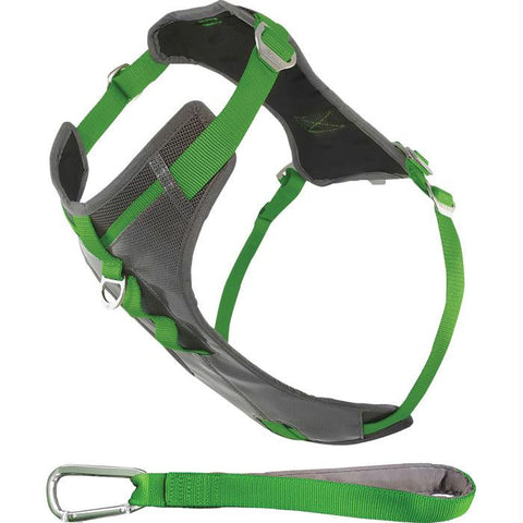 Kurgo Allagash Harness - M
