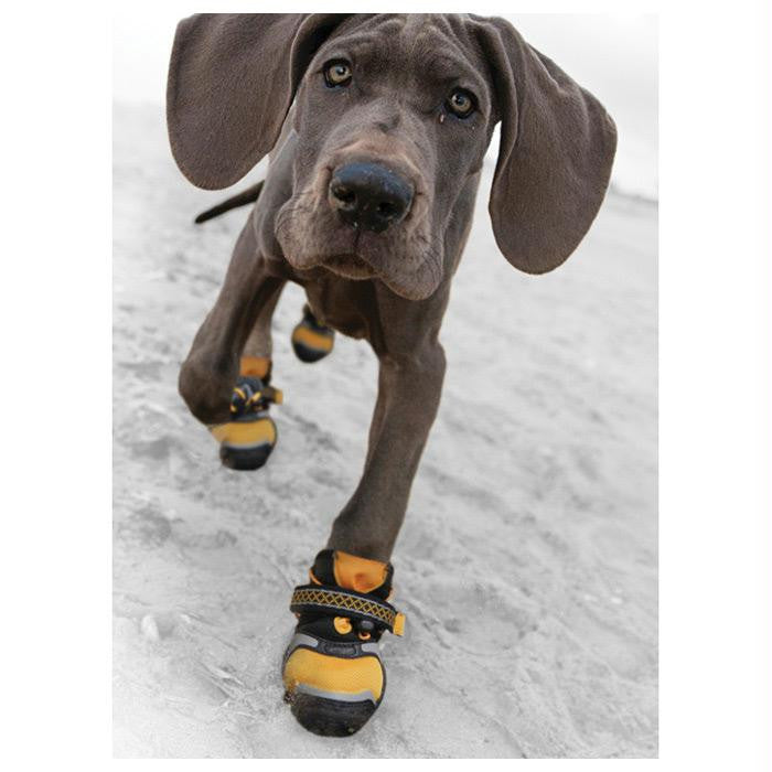 Kurgo Step&strobe Dog Shoe Md