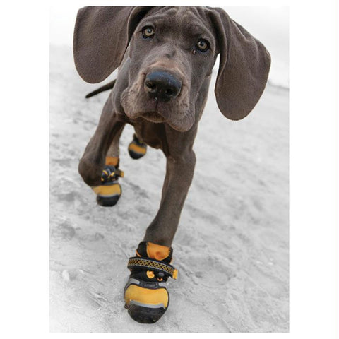 Kurgo Step&strobe Dog Shoe Xl