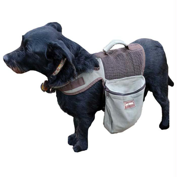 Backpack-harness Small