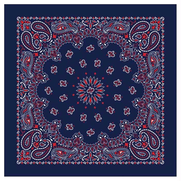 Bandana Paisley Blue-red