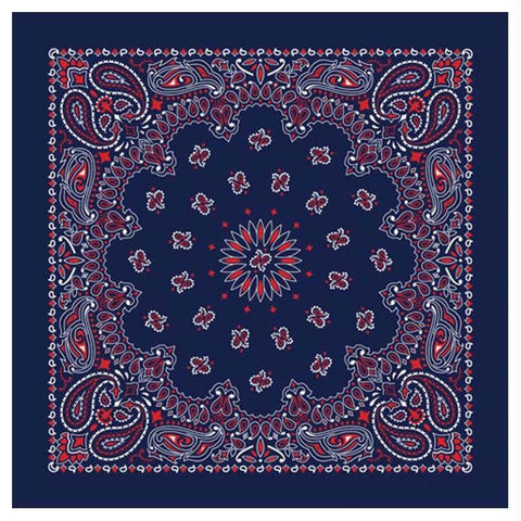 Bandana Paisley Blue-red