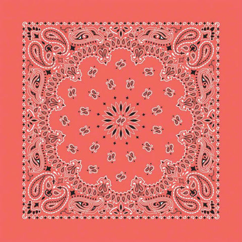 Bandana Paisley Honeysuckle