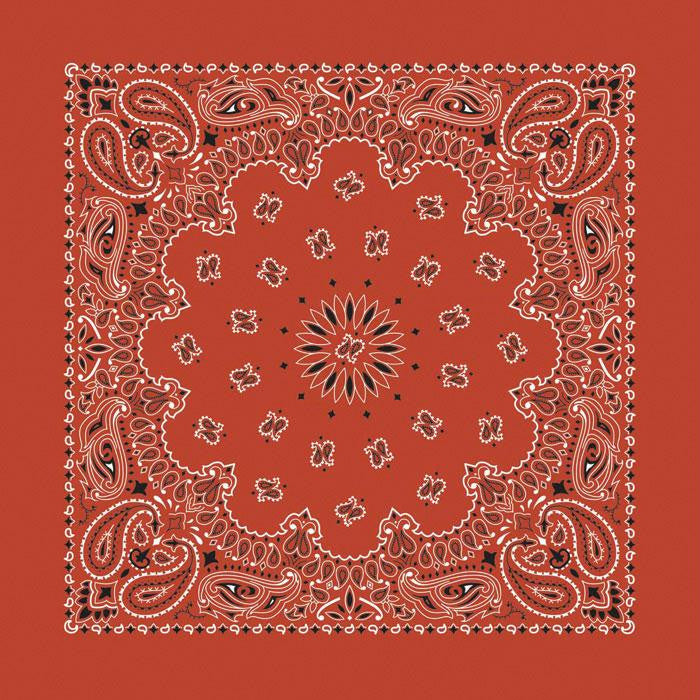 Bandana Paisley Terracotta