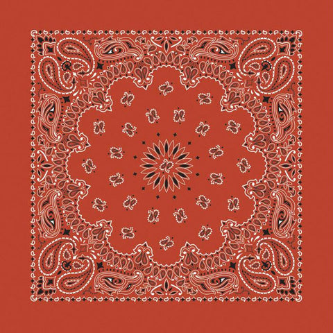 Bandana Paisley Terracotta