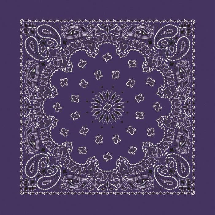 Bandana Paisley Plum