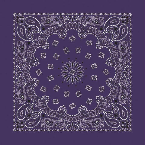 Bandana Paisley Plum