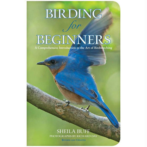 Birding For Beginners