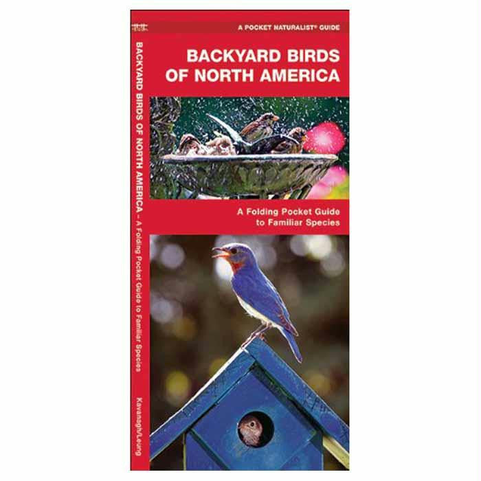 Backyard Birds: Na