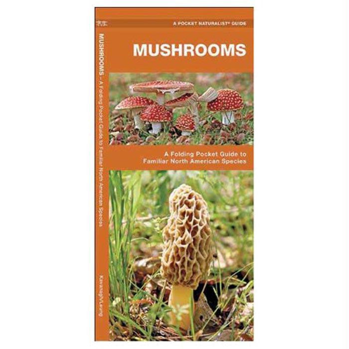 Mushrooms
