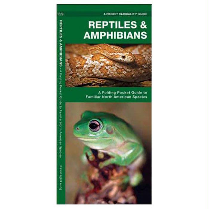 Reptiles-amphibians