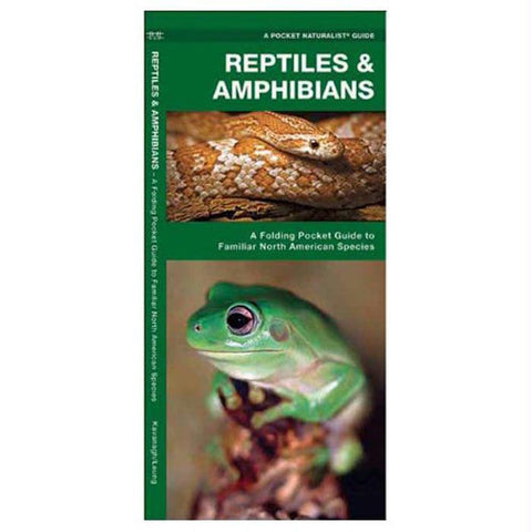 Reptiles-amphibians