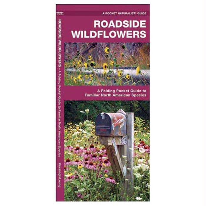 Roadside Wildflowers