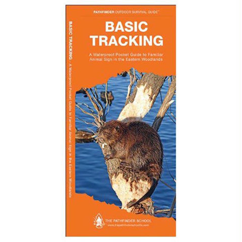 Basic Tracking