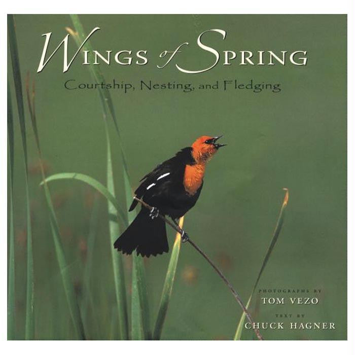 Wings Of Spring