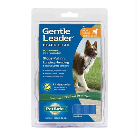 Leader Headcollar Royal Md