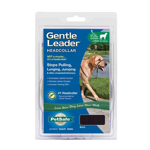 Leader Headcollar Black Lg